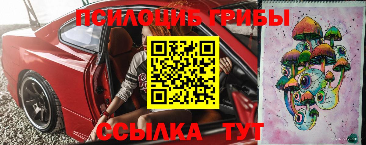 Псилоцибиновые грибы прущие грибы Кимры