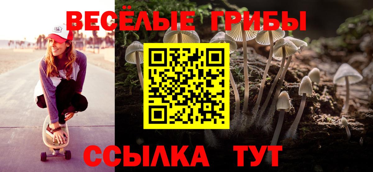 Кимры  Галлюциногенные грибы Psilocybe  Вход с VPN 