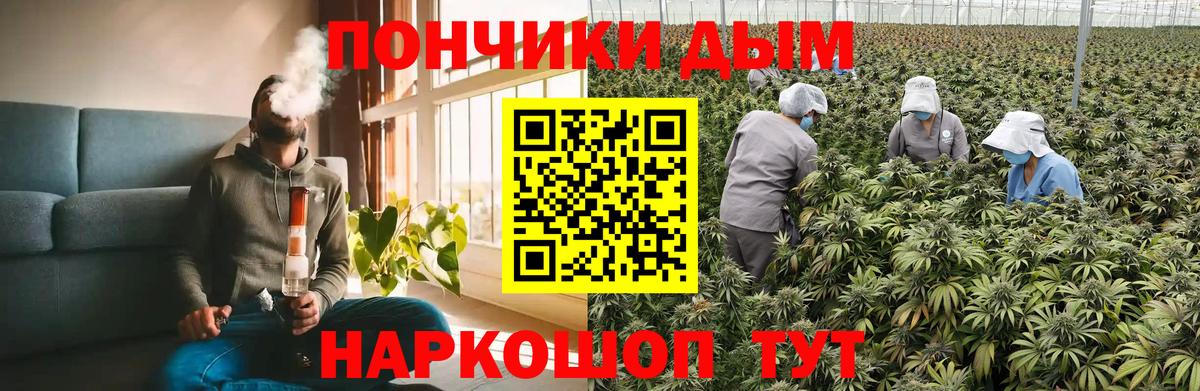 Каннабис OG Kush  Бошки Шишки Bruce Banner  МАРИХУАНА планчик  Кимры  Вход с VPN 